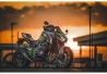 SEFIS kryt chladiče Kawasaki Z900 2017-2023